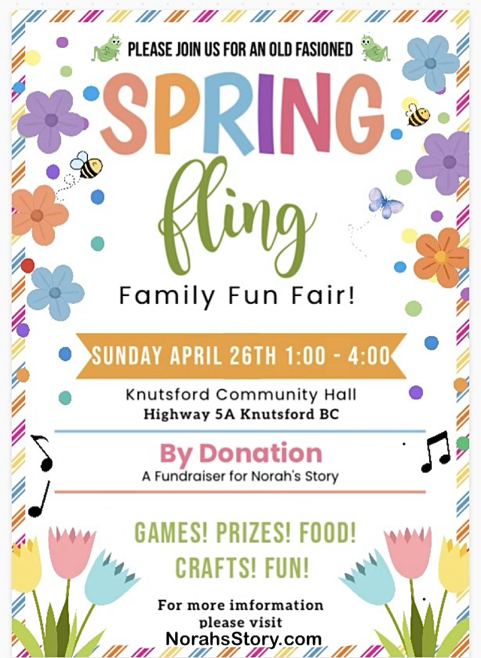 Spring Fling Family Fun Fair fundraiser flyer for Norah's Story
